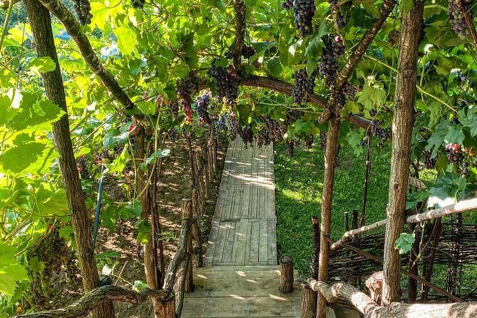 2 Days Tirana, Berat and Castle of Berat Tour - Mount Dajti gondola: the views are the point