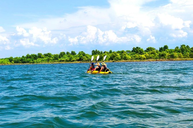 Albania Birdwatching, Kayaking, Bicycle National Park Divjaka Karavasta(ARG) - Key Points Worth Knowing Before You Go