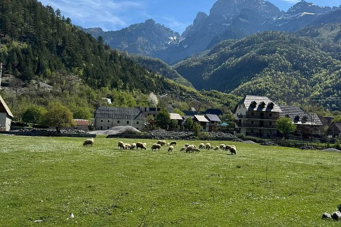 Albanian Alps and Theth Village Day Tour from Tirana - Blue Eye of Theth: the hike (2.5 km) and the swim payoff