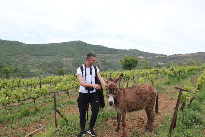 Albanian Highlights - UNESCO sites ,Nature and Food tour - Key things that make this tour work