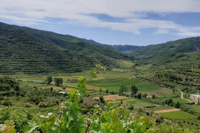 Berat 4x4 Off-Road and Vineyard Wine Tasting - Key things you’ll remember
