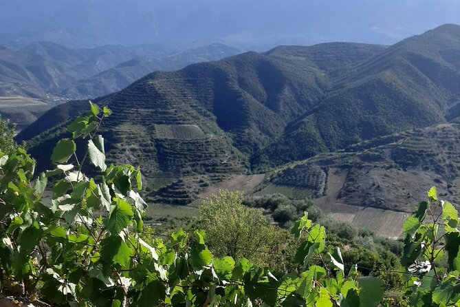 Berat 4x4 Off-Road and Vineyard Wine Tasting - The 4x4-to-winery idea that actually makes sense