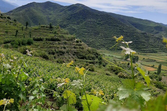 Berat 4x4 Off-Road and Vineyard Wine Tasting - When weather forces a change (and why that’s not a bad sign)