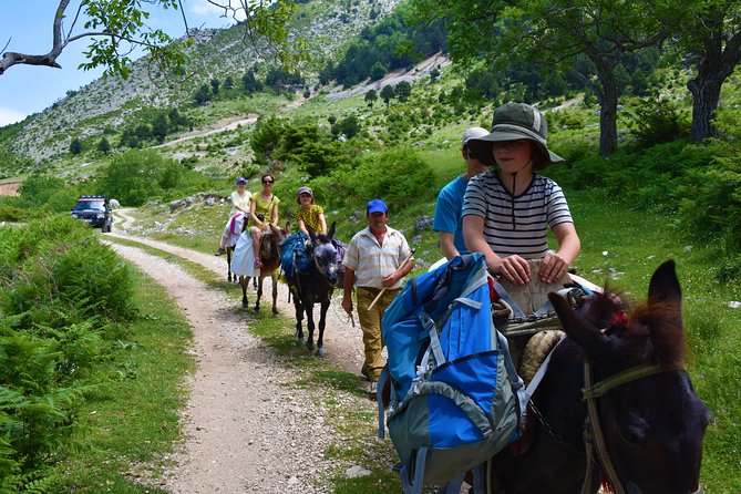 Berat Hiking Off Road picnic lunch in Tomori Holy Mount - Reaching Tomor Mountain’s Castle Ruin by Way of a Pine-Forest Walk
