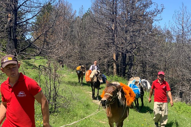 Berat Hiking Off Road picnic lunch in Tomori Holy Mount - Picnic Lunch on the Mountain: Local Food, No Fuss