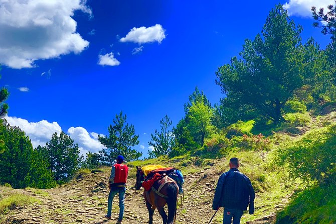Berat Hiking Off Road picnic lunch in Tomori Holy Mount - The Qafe Dardhe Village Family Visit That Makes It Feel Real