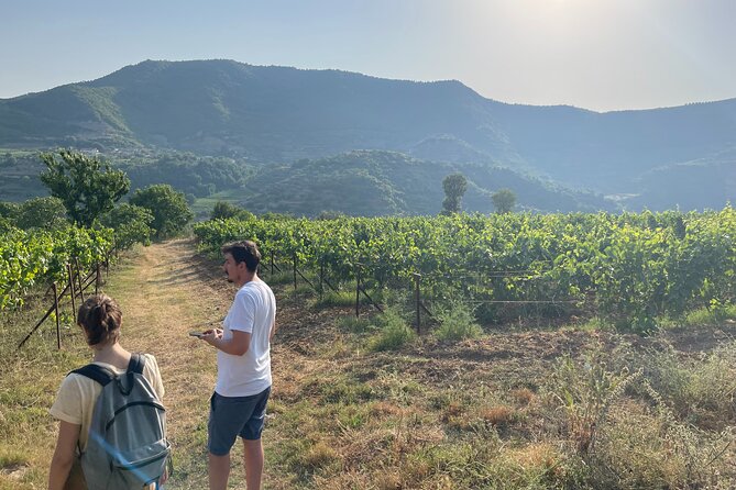 Berat | History & Local Food - Price and Logistics: What You’re Paying For