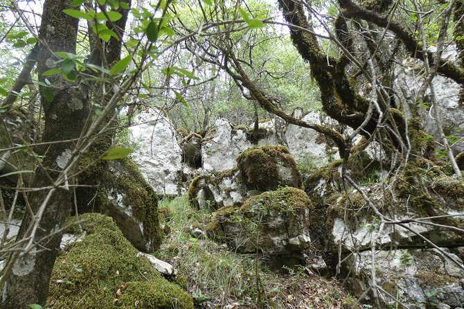 BOGOVA WATERFALL & WINERY TOUR from Berat by 1001 AA - Guide style makes a real difference on this tour