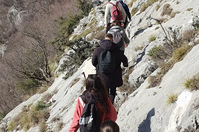 Bovilla lake Hiking Experience - Transport and the private-group feel that makes it easier