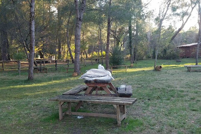 Day Tour of Berat and Karavasta Lagoon from Tirana&Durres - Price and logistics: what you’re really paying for at $112.87