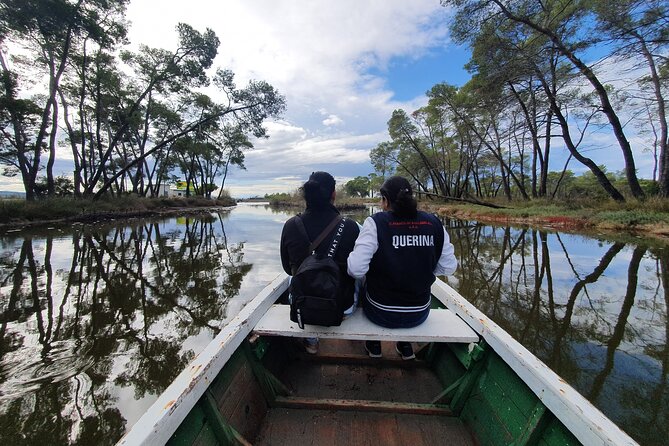 Day Tour of Berat and Karavasta Lagoon from Tirana&Durres - The Lagoon Boat Ride: pelicans, flamingos, and real birdwatching time
