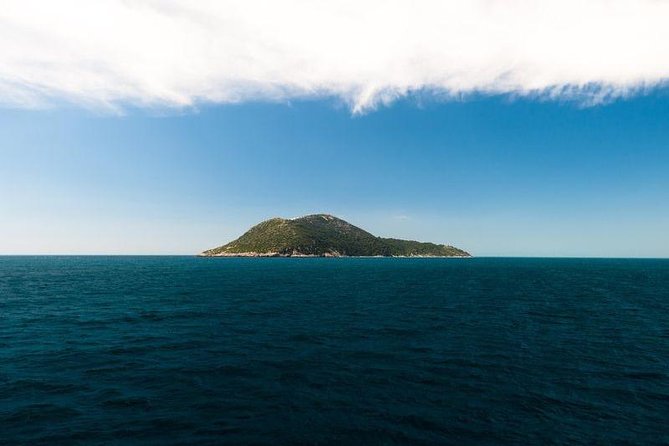 Explore Vlora Bay: Sazani Island &Karaburun peninsula from Tirana - Boat time on the Adriatic and Ionian meet point