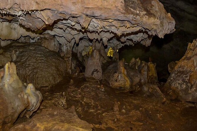 From Tirana: Hiking to Pellumbas Cave and Petrela Castle - The guide makes a difference: names to look for and how they help