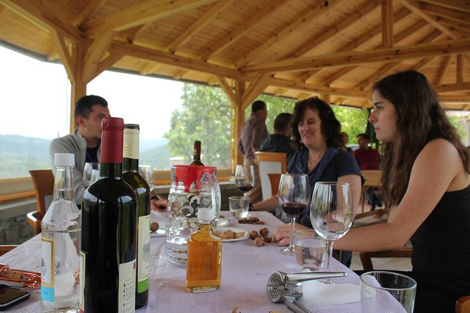 From Tirana Wine Tasting & Food tour in Berat - Who Should Book This Berat Wine and Food Day