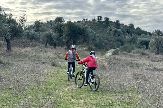 Full Day Tour in Berat Using Electric Bike - Stop 1: Drobonik, Cherry Trees, Olive Groves, and Skanderbeg’s Wedding Church