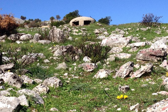 Full-Day Tour of Albania’s Bunkers and Beaches, from Tirana - Food and drink: wine and cheese, plus farm-style lunch energy