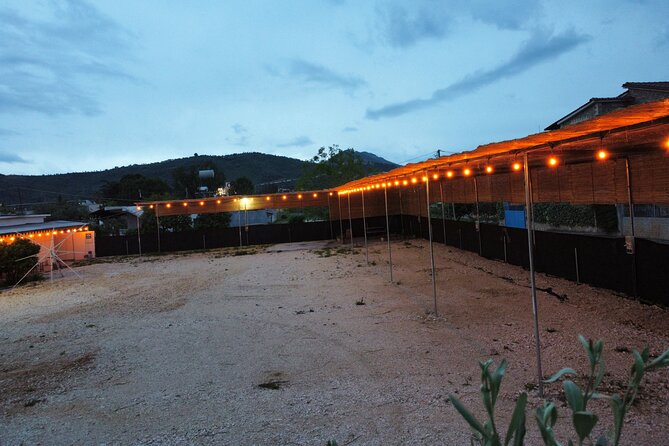 Happy Camping Berat - Eating and sipping on site: bar drinks and a simple morning menu
