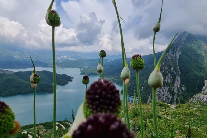 Hiking to Gamti, Bovilla Lake and Kruja Day Trip from Tirana - Lunch breaks in Bovilla and Krujë: how to keep costs down