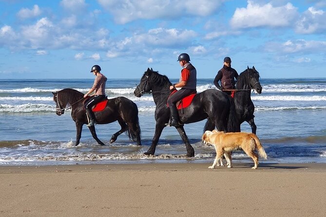 Horseback Riding Adventure in Durrës for Experienced Riders - Durres at 4:00 pm: how the 3 hours are likely to feel