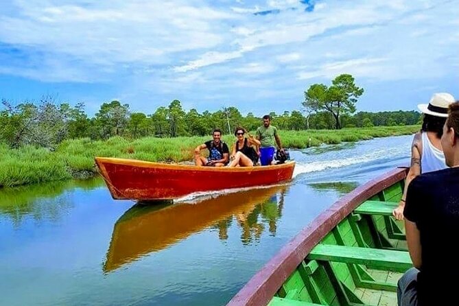 Karavasta Lagoon Adventure: Boat & Wildlife Tour from Durrës - Wooden bridge walking and birds: calm nature time, not a sprint