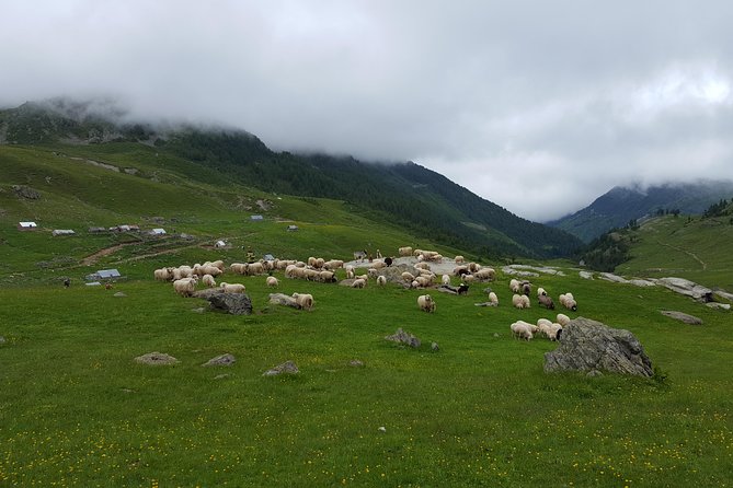 Peaks of the Balkans - 8 Days Tour - Komani Lake ferry to Valbona Valley: the start that sets the tone
