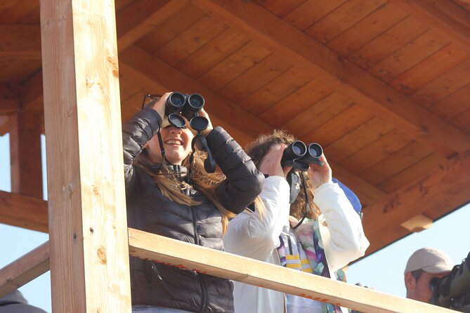 Private Birding Tour in Albania - From Rinas Airport to the Birding Zone