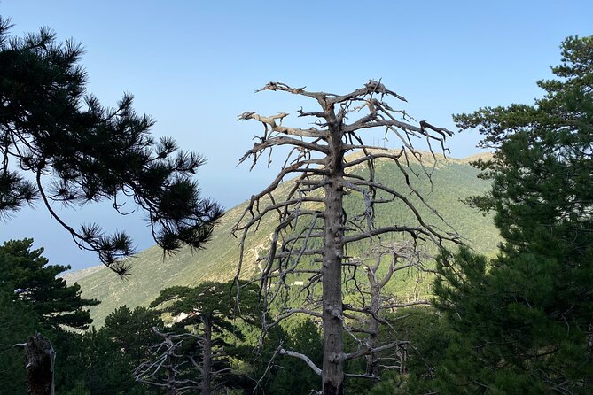 Private Hiking Tour in Çika Mountain - Entering Llogara National Park without wasting time