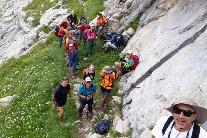 Self – Guided Peaks of the Balkans tour in 10 days - Doberdol and the Albania national reserve: berries, pine forest, and wildlife stakes (Day 8)