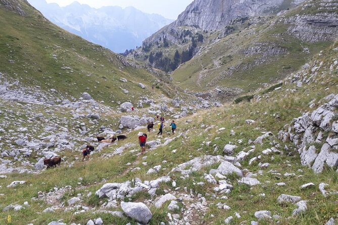 Self - Guided Peaks of the Balkans tour in 7 days - Day 2: Theth’s church and tower, plus Arapi and a hard-to-find water stop