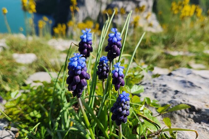 Semi – Private Tour at Cape of Rodon; Hidden Beaches & History - Pickup, timing, and how the small-group format feels