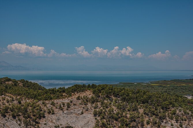 Shkodra from Tirana: Day Tour of castle, city & Skadar Lake - Skadar Lake: where the scenery calms the tempo