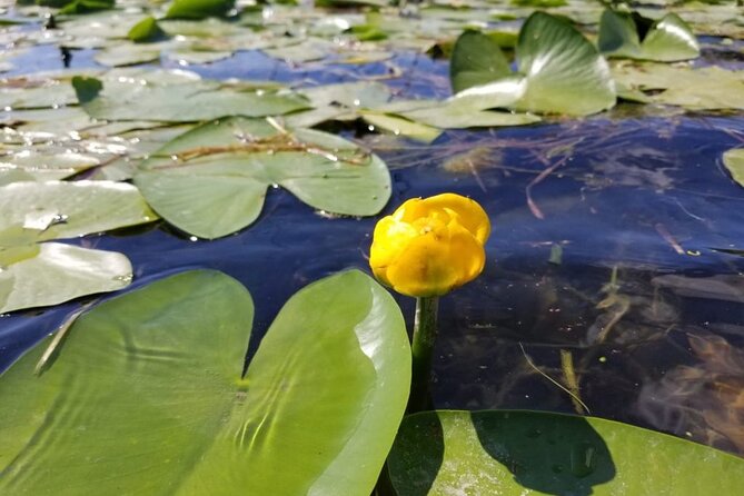 Stand Up Paddle at Skadar lake and Hiking from Valbona to Theth in 4 Days - Day 3: Gurnas Waterfall, Blood Feuds context, and Shkoder by night