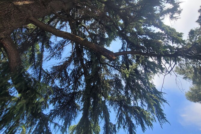 Tirana’s Communist Past: A Tasting Tour with Traditional Lunch - House of Leaves: the Secret Surveillance era in plain sight