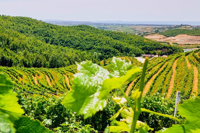 Vineyards, Albanian Wine Tasting & Boat Tour from Tirana/Durres - Price and what you’re truly paying for