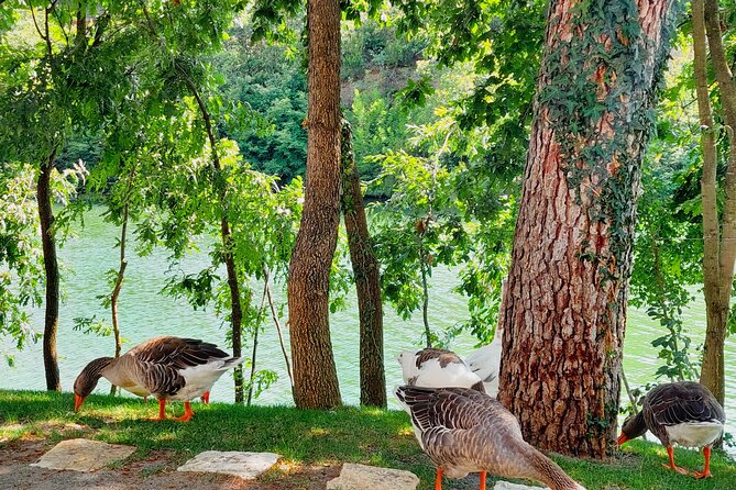 Vineyards, Albanian Wine Tasting & Boat Tour from Tirana/Durres - The snacks and appetizers: what’s included and why it works