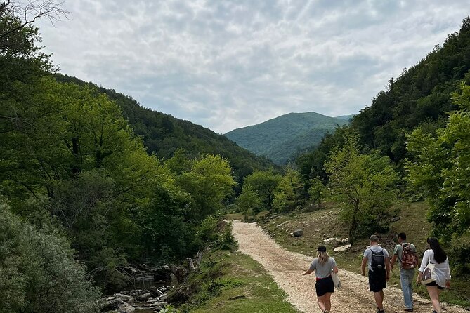 Waterfalls and wine flows - Bogova waterfall and Alpeta Winery Winetasting tour - Pacing and Timing: A 6-Hour Blend That Doesn’t Feel Too Tight