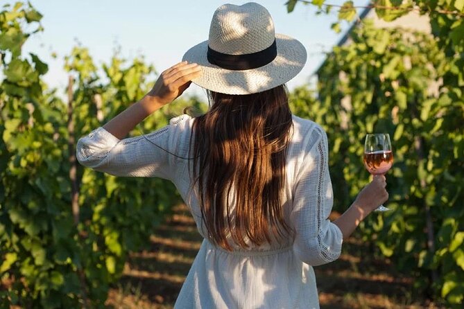 Wine Tasting & Vineyards Escape near Tirana - Key takeaways before you go