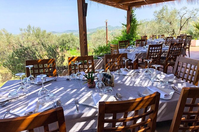 Wine Tasting & Vineyards Escape near Tirana - Stop 2: Vineyard walk, cellar time, and tasting Albanian grapes
