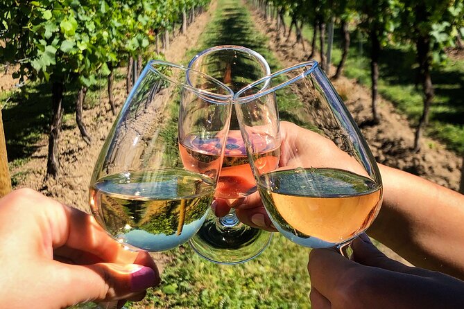 Wine Tasting & Vineyards Escape near Tirana - Stop 3: Vineyard views, a calmer end, and the ride back to Tirana