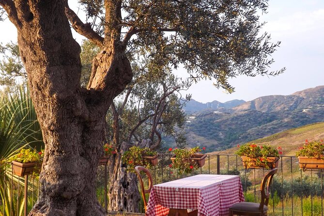 Wine Tasting & Vineyards Escape near Tirana - Price and what you actually get for $118.58