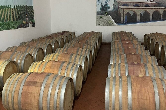 Wine Tasting & Vineyards Escape near Tirana - Small-group magic: how the guide and host affect your day