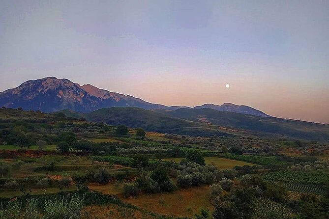 Winetasting tour in Alpeta winery - Roshnik village by 1001 Albanian Adventures - At Alpeta Agrotourism & Winery: wine, rakija rituals, and locally made bites